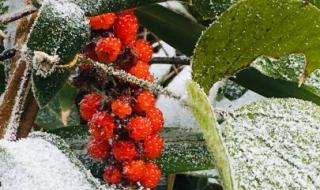 福建气温将迎断崖式下跌