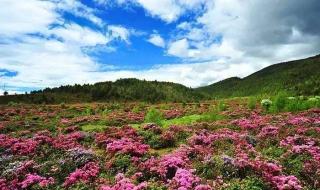 6月份去梅里雪山穿什么衣服 梅里雪山6月份有雪吗